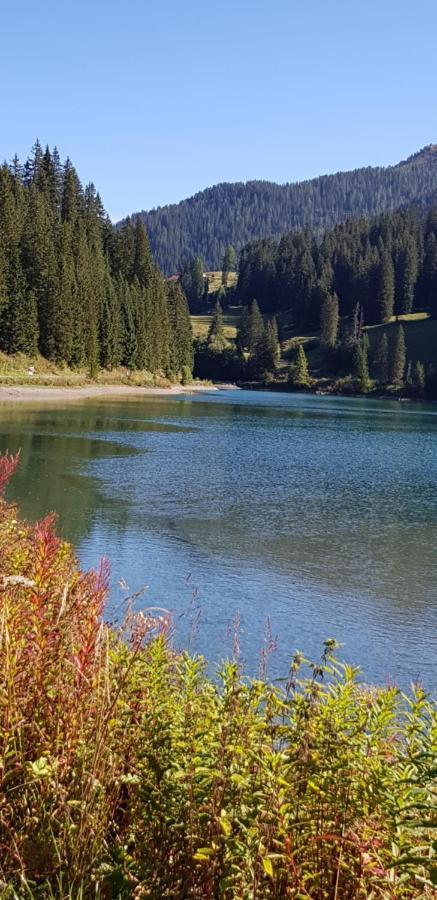 Haus Duranna - Rocks Arosa